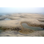 Low Tide in the Fog.