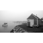 Fog in the Harbor.
